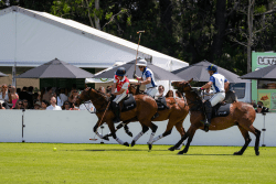 F3 Polo Brisbane - Brisbane