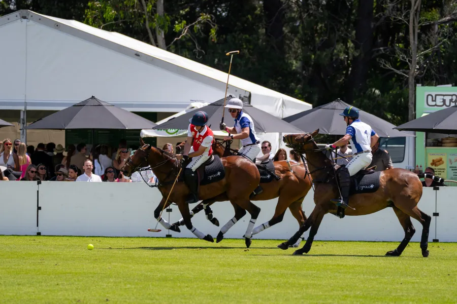 F3 Polo Sydney